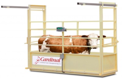 Cardinal SLS Single Animal Livestock Scale main image